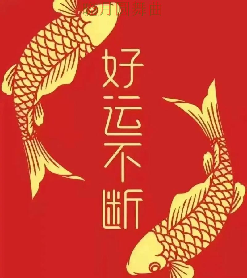 世界杯投注官网下载安装教程分享实用指南